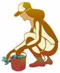 Woman pulling weeds